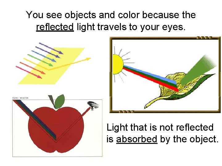 You see objects and color because the reflected light travels to your eyes. Light