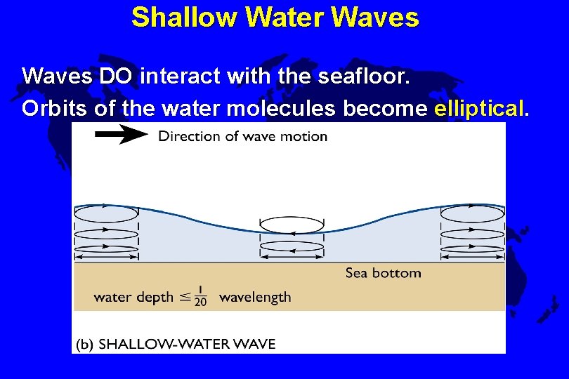 Shallow Water Waves DO interact with the seafloor. Orbits of the water molecules become