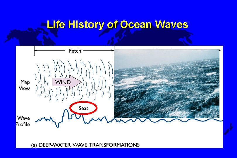 Life History of Ocean Waves 