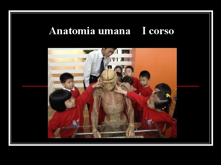 Anatomia umana I corso 