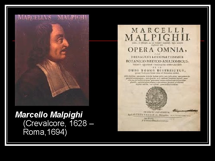 Marcello Malpighi (Crevalcore, 1628 – Roma, 1694) 