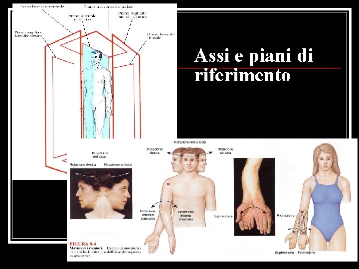 Assi e piani di riferimento 