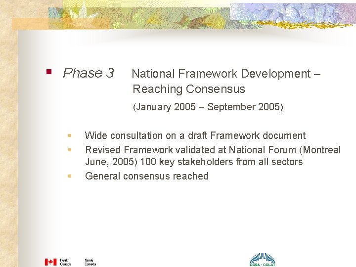 § Phase 3 National Framework Development – Reaching Consensus (January 2005 – September 2005) § Phase 3 National Framework Development – Reaching Consensus (January 2005 – September 2005)