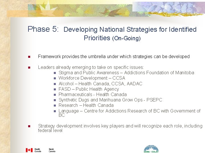 Phase 5: Developing National Strategies for Identified Priorities (On-Going) n Framework provides the umbrella Phase 5: Developing National Strategies for Identified Priorities (On-Going) n Framework provides the umbrella