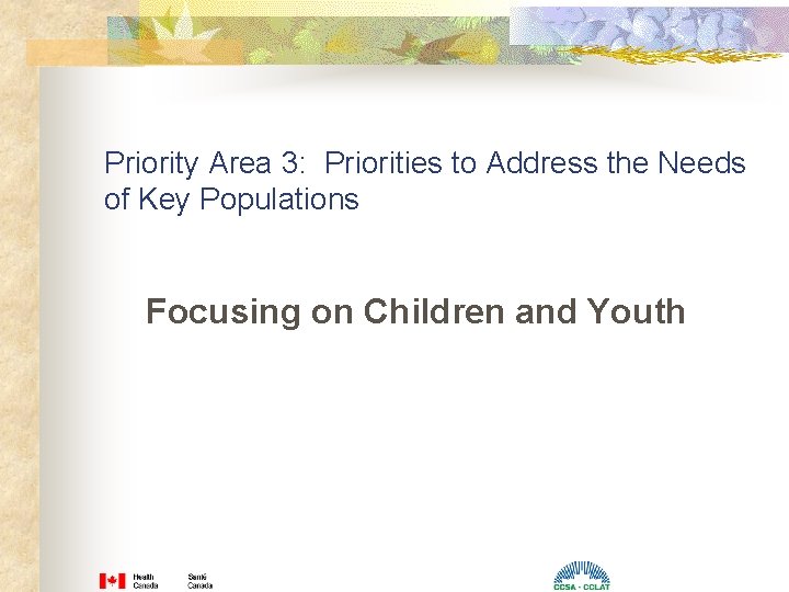 Priority Area 3: Priorities to Address the Needs of Key Populations Focusing on Children Priority Area 3: Priorities to Address the Needs of Key Populations Focusing on Children