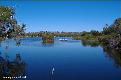 Yanchep National Park 