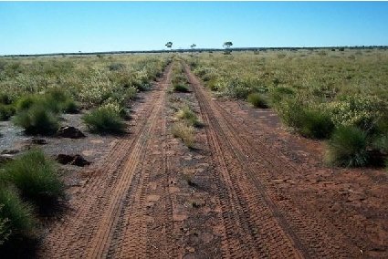 Gibson Desert 