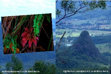 Nord de Beechmont vu de Binna Burra Egg Rock en Lamington N P, vu