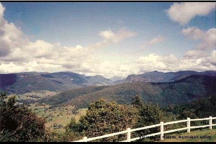 Springbook Plateau, Numinbah Valley 