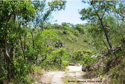 Sentier pédestre, Fitzroy Island 