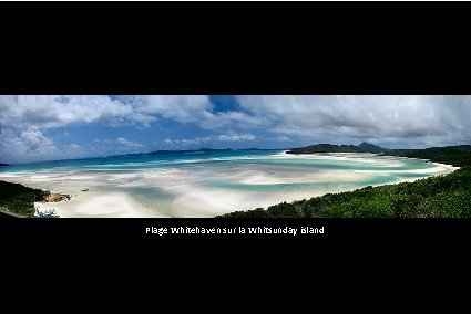 Plage Whitehaven sur la Whitsunday island 