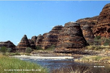 (Peter Ruckstuhl) Purnululu saison des pluies NP Formation. Pendant rocheuselatypique à Purnululu 