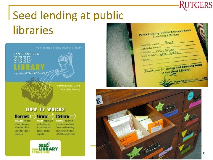 Seed lending at public libraries Tefko Saracevic 36 