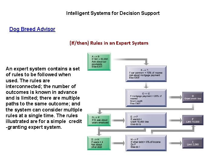 Intelligent Systems for Decision Support Dog Breed Advisor (If/then) Rules in an Expert System