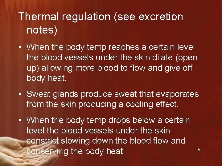Thermal regulation (see excretion notes) • When the body temp reaches a certain level