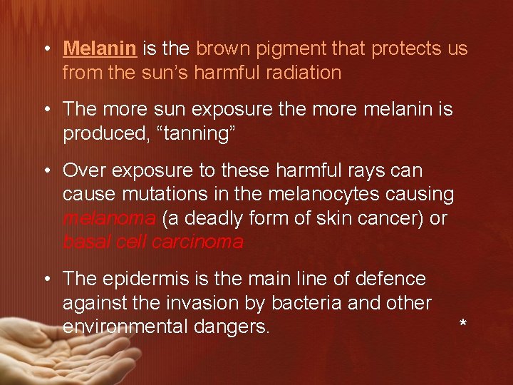  • Melanin is the brown pigment that protects us from the sun’s harmful