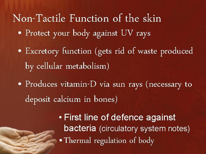 Non-Tactile Function of the skin • Protect your body against UV rays • Excretory