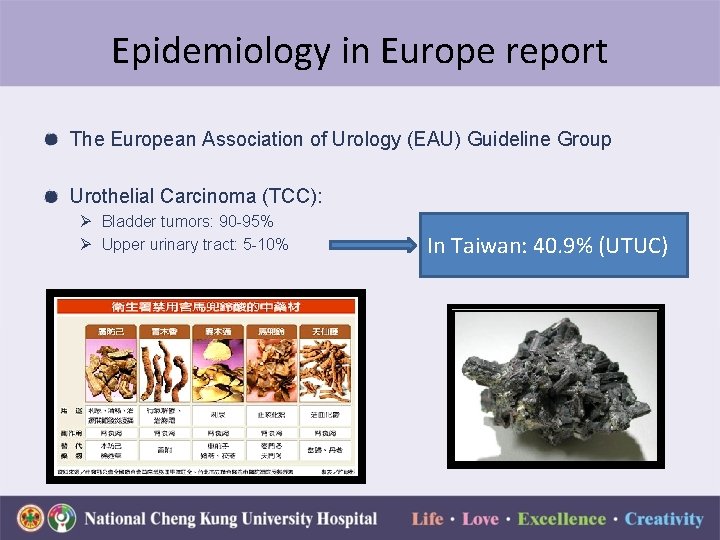 Epidemiology in Europe report The European Association of Urology (EAU) Guideline Group Urothelial Carcinoma