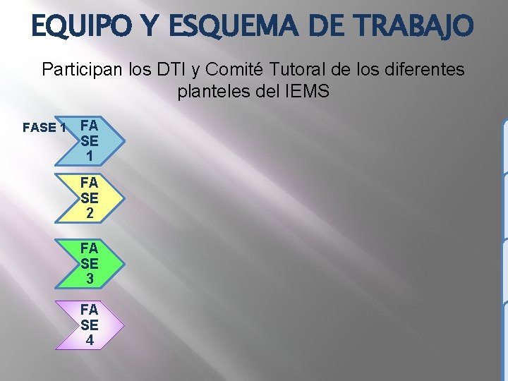 EQUIPO Y ESQUEMA DE TRABAJO Participan los DTI y Comité Tutoral de los diferentes