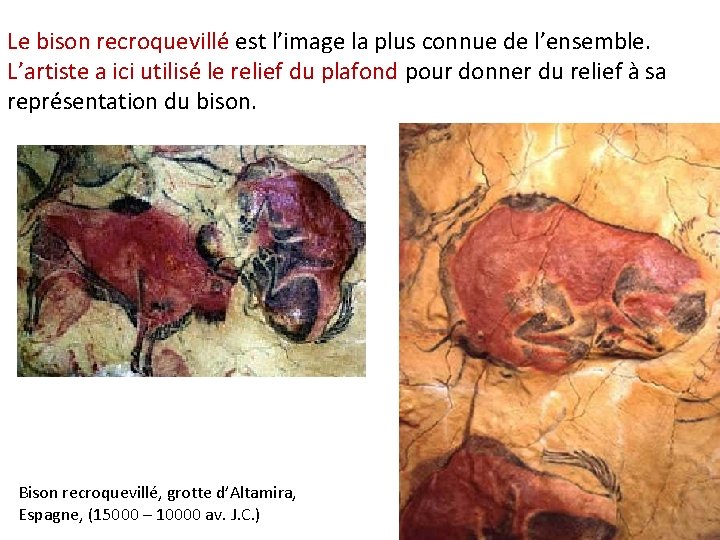 Le bison recroquevillé est l’image la plus connue de l’ensemble. L’artiste a ici utilisé