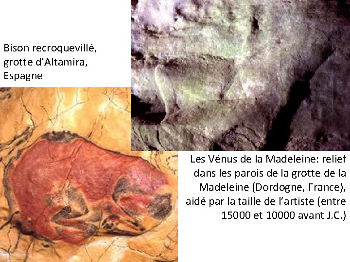 Bison recroquevillé, grotte d’Altamira, Espagne Les Vénus de la Madeleine: relief dans les parois