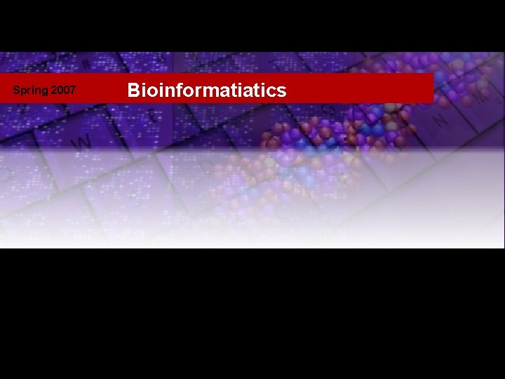 Spring 2007 Bioinformatiatics 