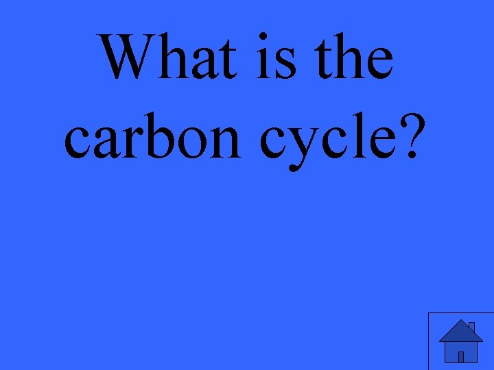What is the carbon cycle? 