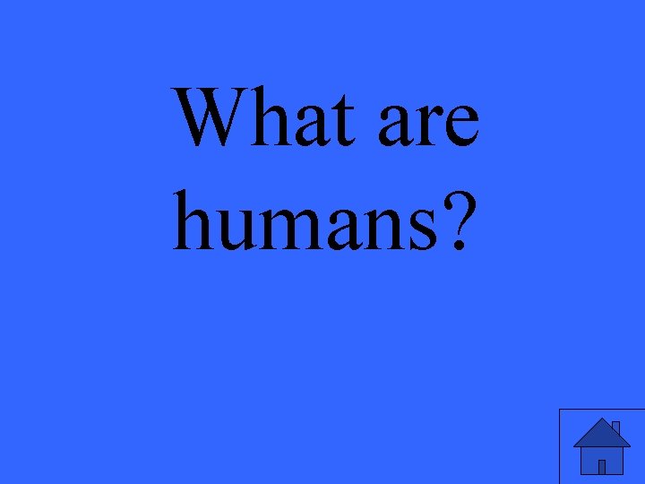 What are humans? 