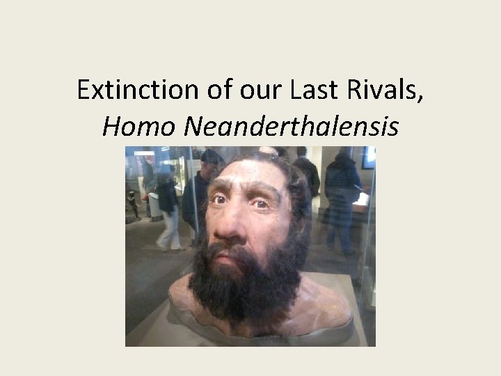Extinction of our Last Rivals, Homo Neanderthalensis Levi Johnston 