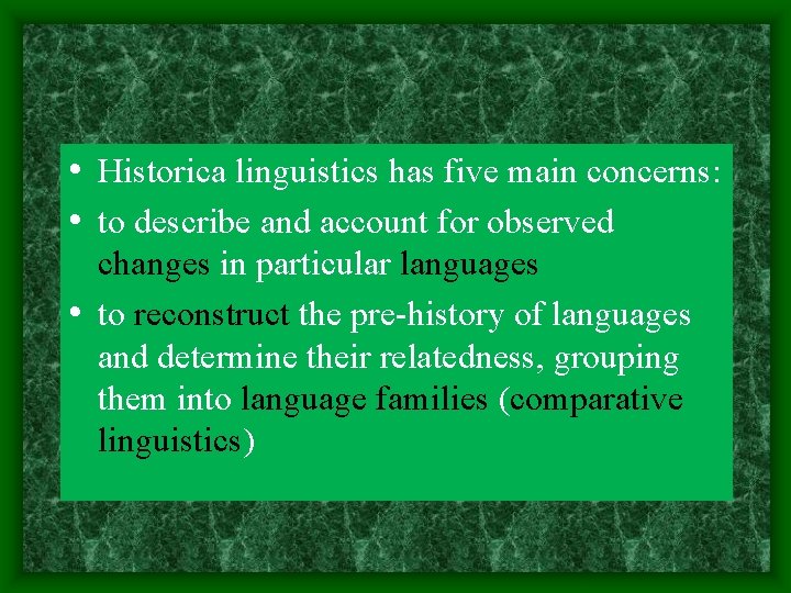 • Historica linguistics has five main concerns: • to describe and account for