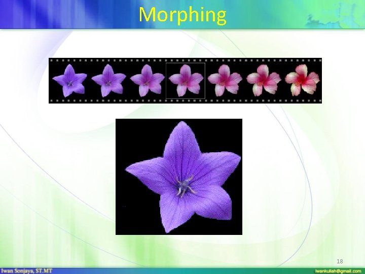 Morphing 18 