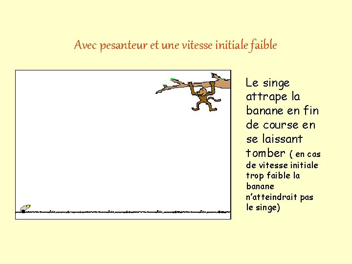 Avec pesanteur et une vitesse initiale faible Le singe attrape la banane en fin