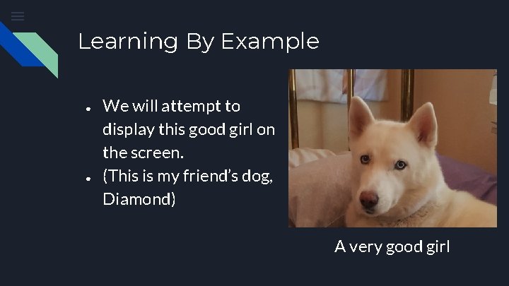 Learning By Example ● ● We will attempt to display this good girl on