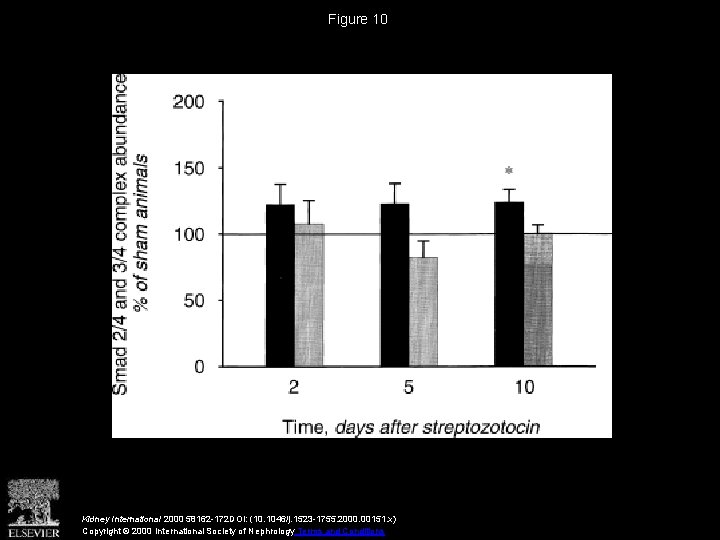 Figure 10 Kidney International 2000 58162 -172 DOI: (10. 1046/j. 1523 -1755. 2000. 00151.