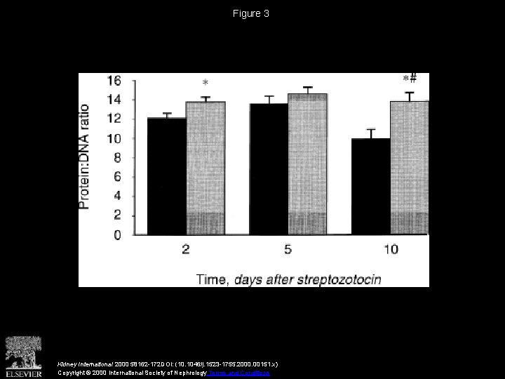 Figure 3 Kidney International 2000 58162 -172 DOI: (10. 1046/j. 1523 -1755. 2000. 00151.