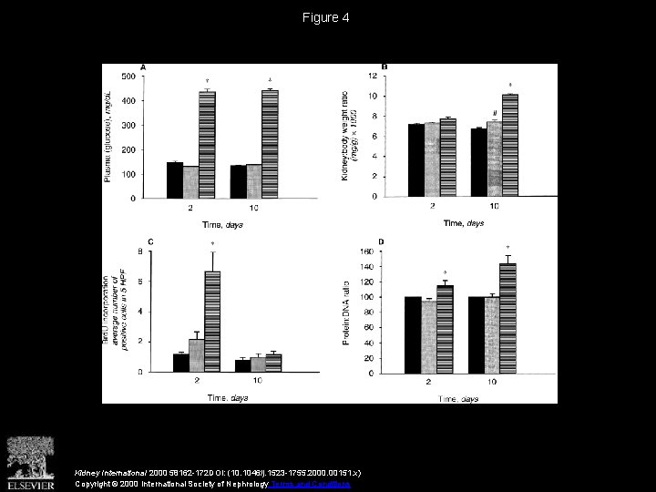 Figure 4 Kidney International 2000 58162 -172 DOI: (10. 1046/j. 1523 -1755. 2000. 00151.