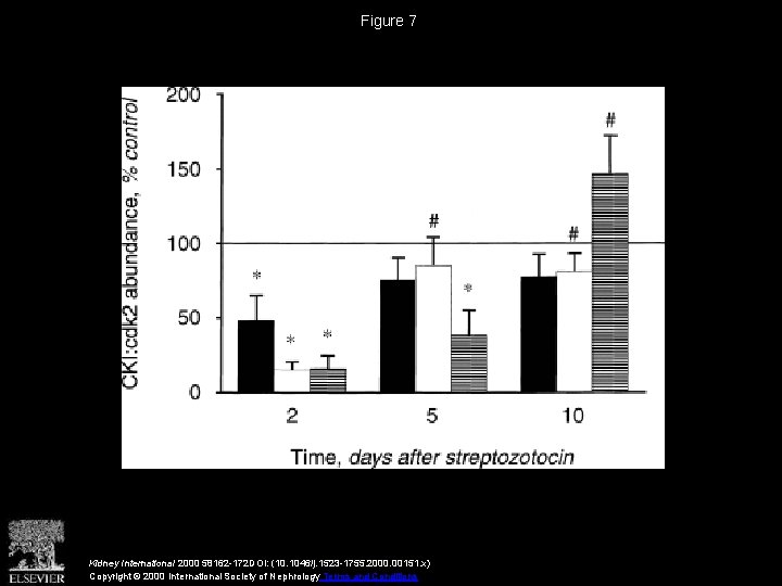 Figure 7 Kidney International 2000 58162 -172 DOI: (10. 1046/j. 1523 -1755. 2000. 00151.