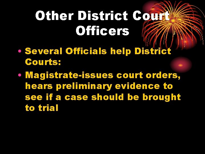 Other District Court Officers • Several Officials help District Courts: • Magistrate-issues court orders,