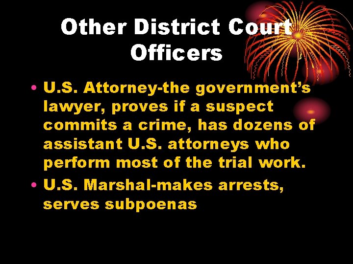 Other District Court Officers • U. S. Attorney-the government’s lawyer, proves if a suspect
