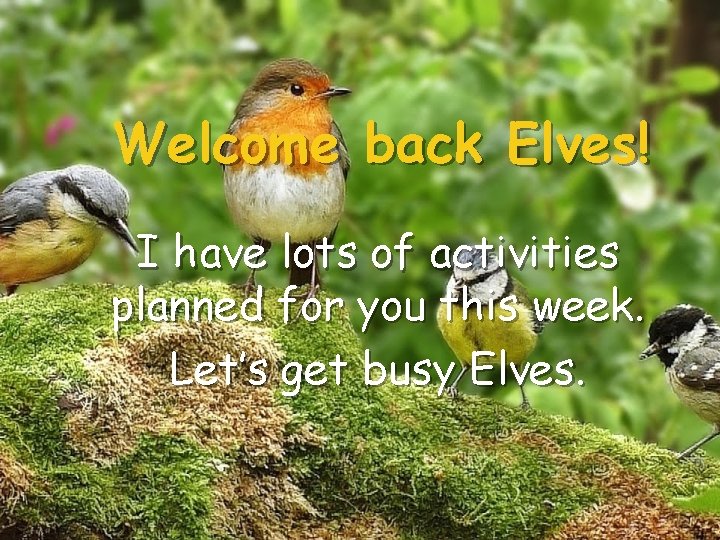 Welcome back Elves! I have lots of activities planned for you this week. Let’s