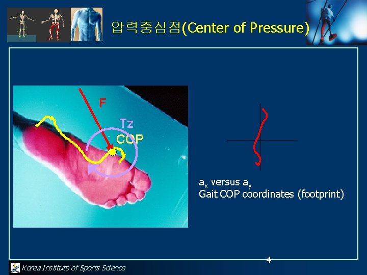 압력중심점(Center of Pressure) F Tz COP ax versus ay Gait COP coordinates (footprint) Korea