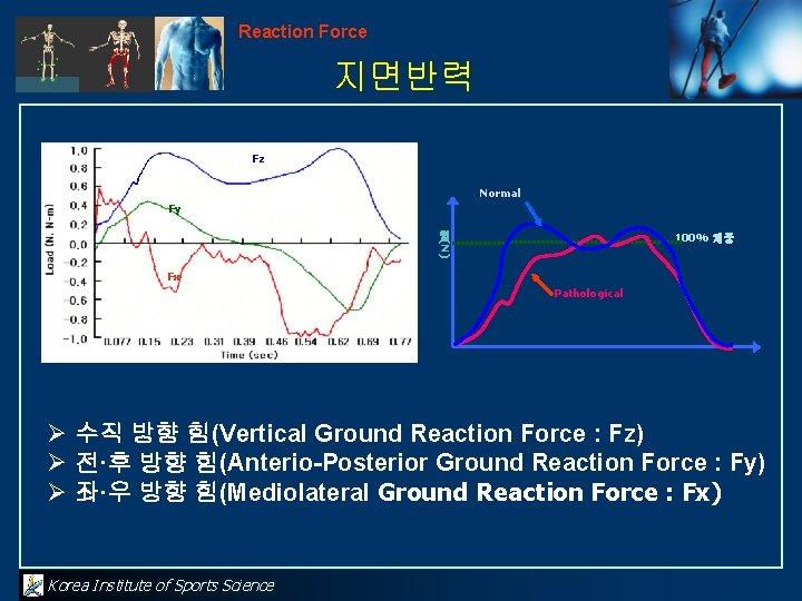 Reaction Force 지면반력 Fz Normal Fy 힘 (N) 100% 체중 Fx Pathological Ø 수직