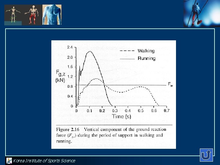 Korea Institute of Sports Science 