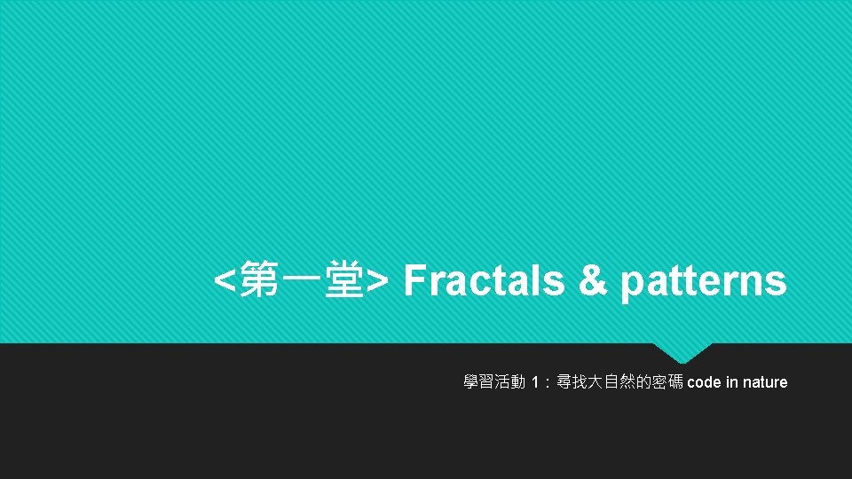 <第一堂> Fractals & patterns 學習活動 1：尋找大自然的密碼 code in nature 