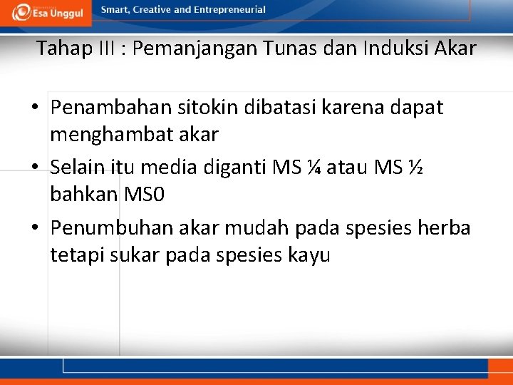 Tahap III : Pemanjangan Tunas dan Induksi Akar • Penambahan sitokin dibatasi karena dapat Tahap III : Pemanjangan Tunas dan Induksi Akar • Penambahan sitokin dibatasi karena dapat