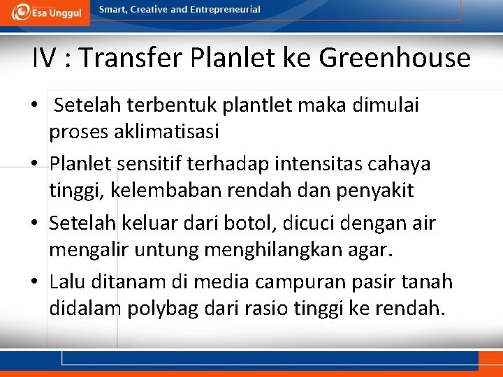 IV : Transfer Planlet ke Greenhouse • Setelah terbentuk plantlet maka dimulai proses aklimatisasi