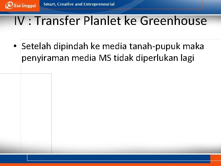 IV : Transfer Planlet ke Greenhouse • Setelah dipindah ke media tanah-pupuk maka penyiraman