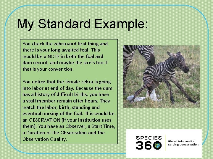 My Standard Example: You check the zebra yard first thing and there is your