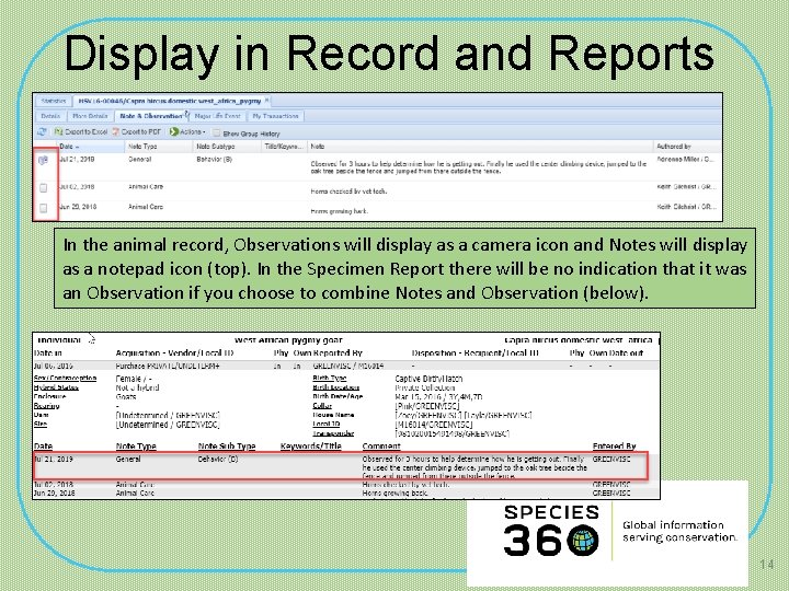 Display in Record and Reports In the animal record, Observations will display as a