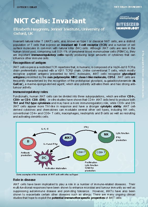 NKT CELLS: INVARIANT CATEGORY: CELLS NKT Cells: Invariant Elizabeth Haygreen, Jenner Institute, University of